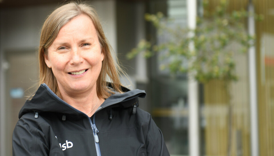 Direktør i Direktoratet for samfunnssikkerhet og beredskap Elisabeth Aarsæther.