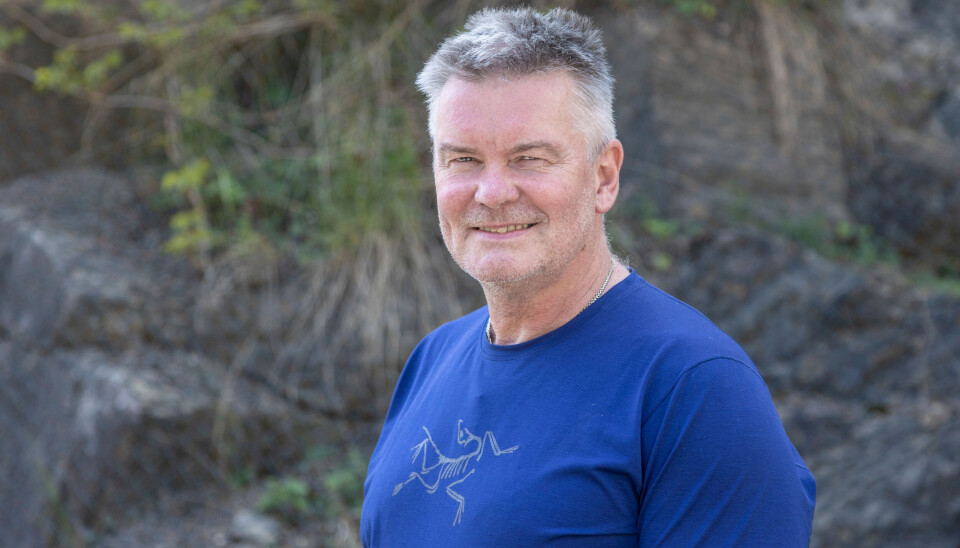 Seniorrådgiver i NSO, Kjell Buer Berntzen.