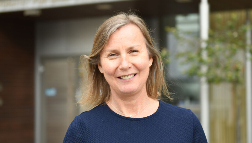 Direktør i Direktoratet for samfunnssikkerhet og beredskap, Elisabeth Aarsæther.